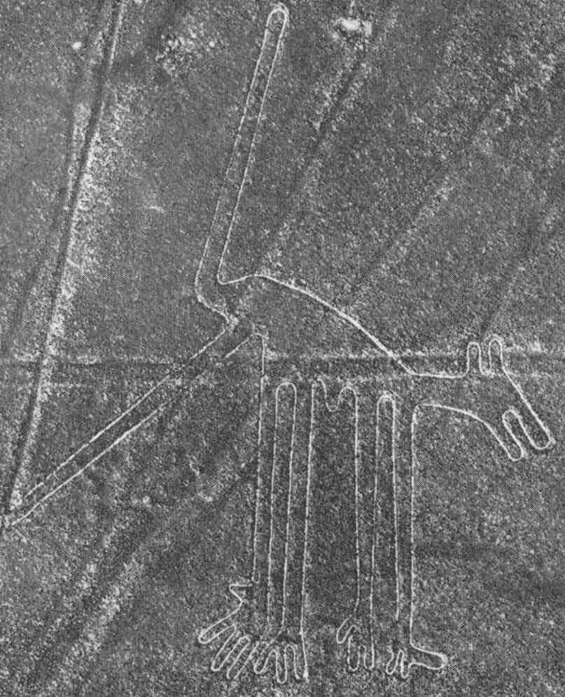 A photograph of a human standing near a geoglyph for scale