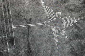 an aerial photo of the Humming Bird geoglyph