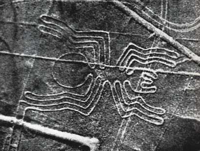 An image of the spider geoglyph on the pampa