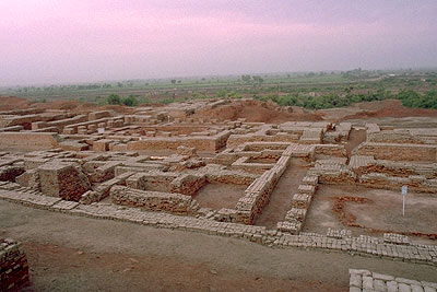 an image/link direct to the Harappa webpage