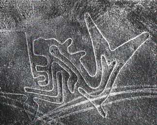 an aerial photograph of a whale on the Nazca Plain