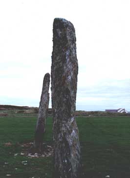 This is a photograph of the two standing stones at Pentre Felw, Ynys Môn, Wales