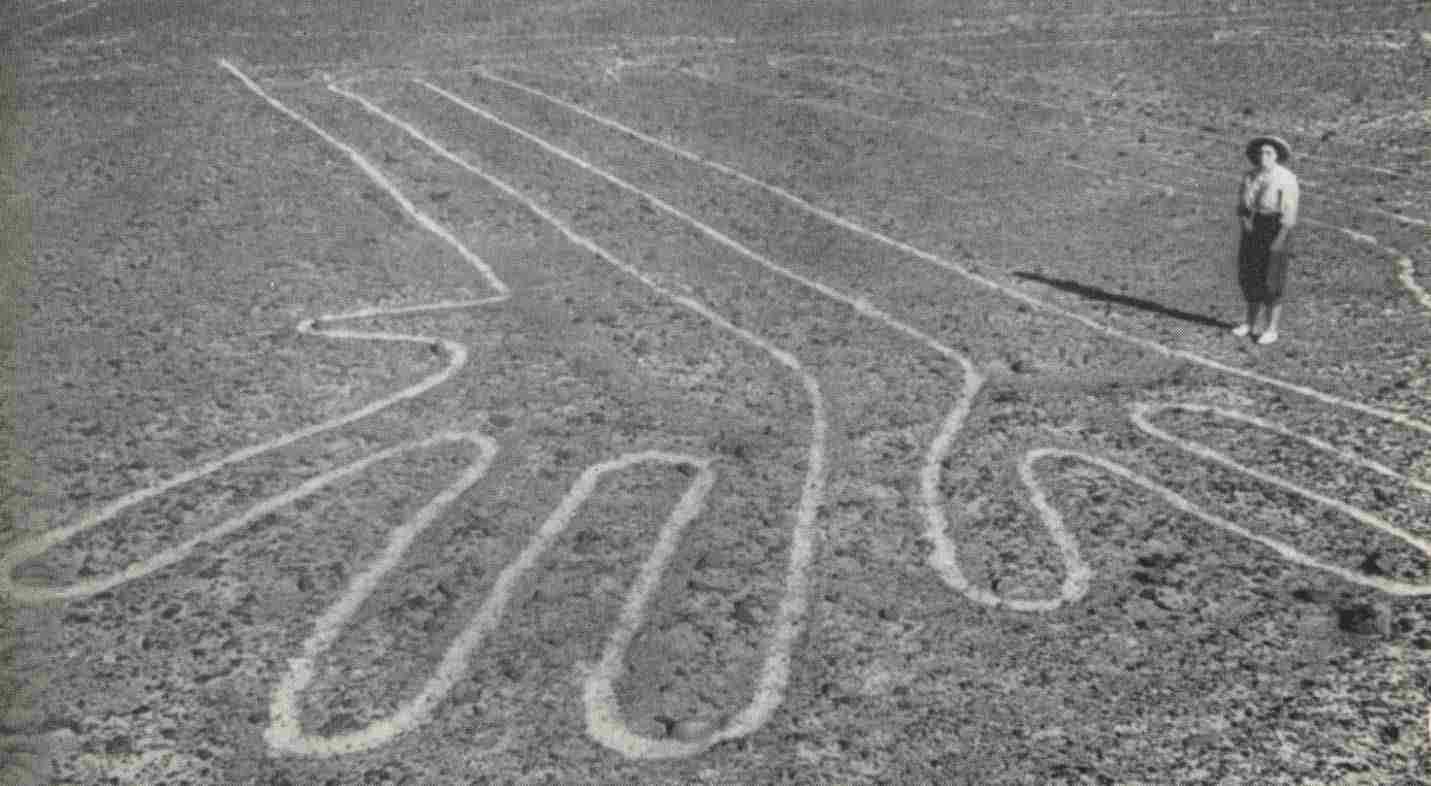 A photograph of a human standing near the legs of the dog-like geoglyph for scale