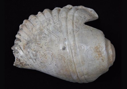 an image showing an ancient Peruvian conch shell taken by Jyri Huopaniemi, which is also a clickable link directly to the Science News story