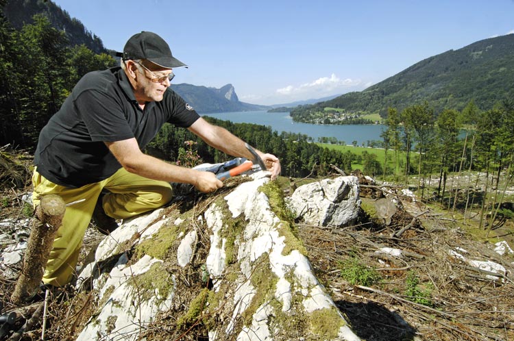 an image of geologist Alexander Binsteiner above Lake Mondsee taken by Wolfgang Maria Weber which is also a direct link to the full Der Spiegel story about the Alpine tsunami.