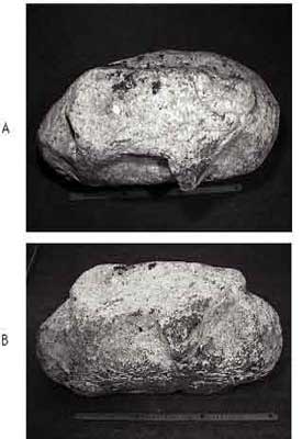 images showing two different views of the artifact that has become known as the Ox Rock as it depicts an oxen, bull or cow