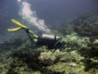 An image of a diver exploring dead coral reefs off Gili Trawangan island, north of Lombok island, which is also a clickable link direct to the Javno story