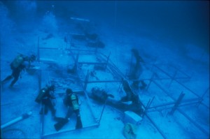 an image of some divers which is also a link direct to the Big Blue Tech story