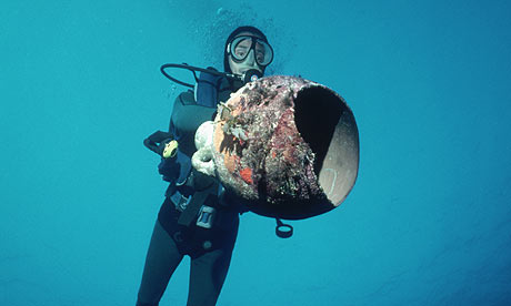 an image of a diver carrying a Greek amphora that was part of a long-lost ship's cargo, which is also a clickable link to The Guardian story