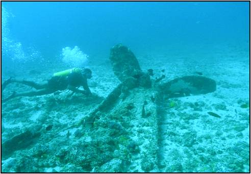 An image of a propeller and shaft of the decayed wooden Dutch ship which carried copper bricks which is situated in little basses reef. This image is also a clickable link direct to the Sri Lanka Navy story