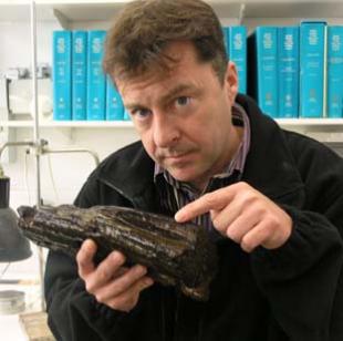 an image showing Garry Momber holding one of the pieces of wood marine archaeologists have found in the Solent, which is also a clickable link direct to the This is Hampshire story