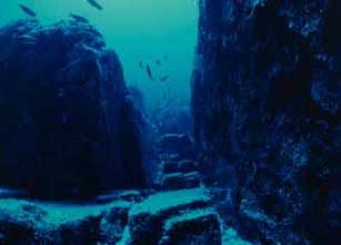 an image of a 'flights of steps' which gives access to the 'Stadium' and is at a depth of approximately '35 metres'