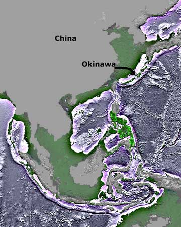 a geological map showing the coastlines of south and east Asia as they are today in grey, while the 'green' areas represent the coastlines as they were around 17,000 years ago