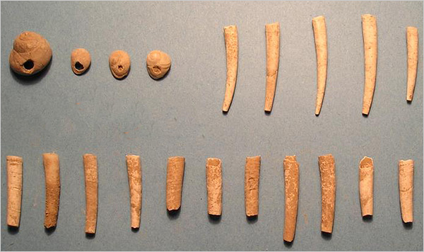 an image of Neanderthal tools that they had developed on their own, which is also a clickable link directly to The New York Times story