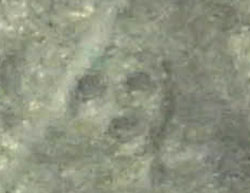 An image of one of the new geoglyphs on the Nazca Plain depicting a human head and an animal figure discovered by scientists from Yamagata University in Japan, which is also a clickable link directly to the Living in Peru news story