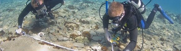 an image showing archaeologists surveying the world’s oldest submerged town of Pavlopetri off the southern Laconia coast of Greece, which is also a clickable link direct to the University of Nottingham press release, while Headline and Full Story links go directly to the AlphaGalileo story