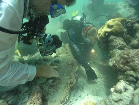 An image of a diver from Indiana University collecting a sample from what is believed to be the wooden keel of the Quedagh Merchant under a pile of coral-shrouded cannons, which is also a clickable link direct to The Armenian Reporter story