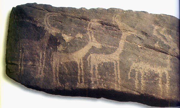 an image of a prehistoric sandstone rock representing four gazelles, which is also a clickable link directly to the Al-Ahram Weekly story