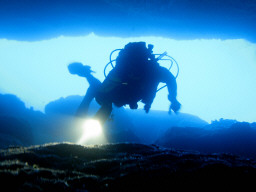 an image showing an amateur scuba diver who has discovered what may be the ruins of an ancient city off the coast of Calabria, which is also a clickable link direct to the ANSA story