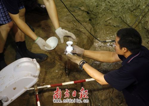 an image showing Chinese archaeologists who have discovered more than 200 precious porcelain artifacts on an 800-year-old merchant ship in the southern province of Guangdong, which is also a clickable link direct to the China.org story