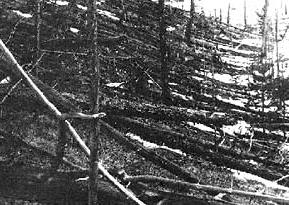 an image/link of the Tunguska airburst debris of flattened forests in 1908 from the BBC website where more information is available if you click the image