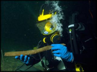 an image of a UM diver holdong one of the artifacts discovered during the Little Salt Spring underwater archaeological expedition, which is also a clickable link directly to the WTSP 10 Connect story