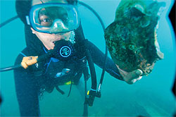 an image showing a participant in the six-week training on underwater cultural heritage preservation that shows a piece of ancient artifact found at an underwater archaeological site in Rayong, which is also a clickable link direct to The Bangkok Post news story