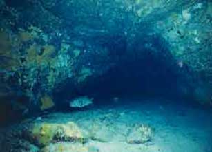 an image of the 'gusuku cave' discovered on the seafloor shows a similar-shaped 'worked' entrance as dry land castles