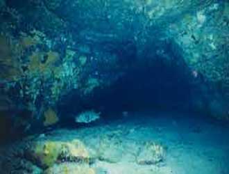an image of the entrance to the mysterious 'gusuku cave' that extends inward, and slopes downward, under the gusuku structure